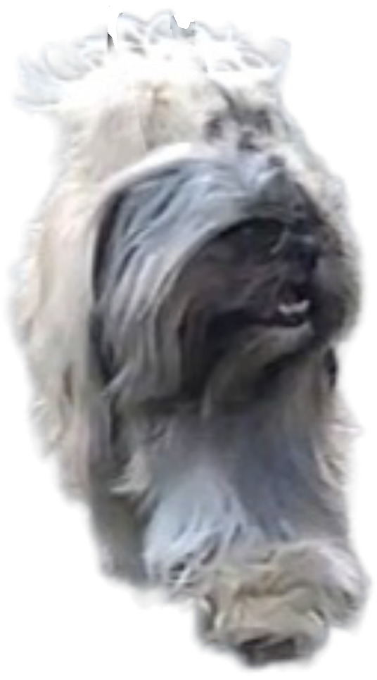 Image description